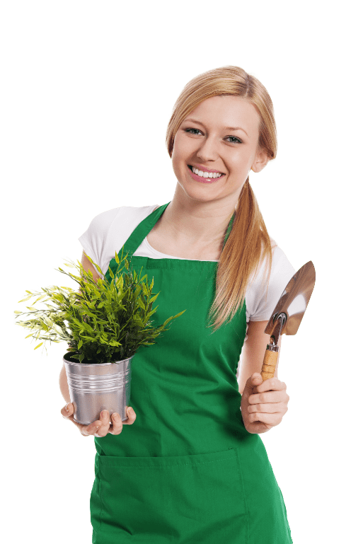 Garden planning